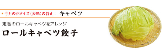 定番のロールキャベツをアレンジ ロールキャベツ餃子 定番のロールキャベツをアレンジ ロールキャベツ餃子