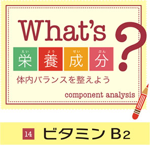 what's栄養成分?体内バランスを整えよう 14 ビタミンB2 What's栄養成分?体内バランスを整えよう 14 ビタミンB2