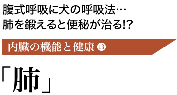腹式呼吸に犬の呼吸法…肺を鍛えると便秘が治る!?