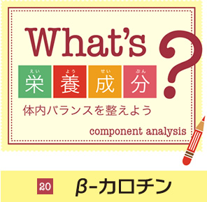 What's栄養成分?体内バランスを整えよう 20β-カロチン