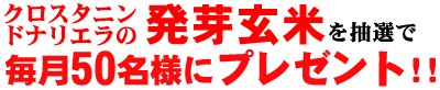 �u�N���X�^�j���E�h�i���G���̔��茺�āv�𒊑I�Ŗ���50���l�Ƀv���[���g�I�I